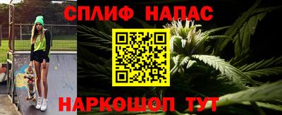 шишки Моздок