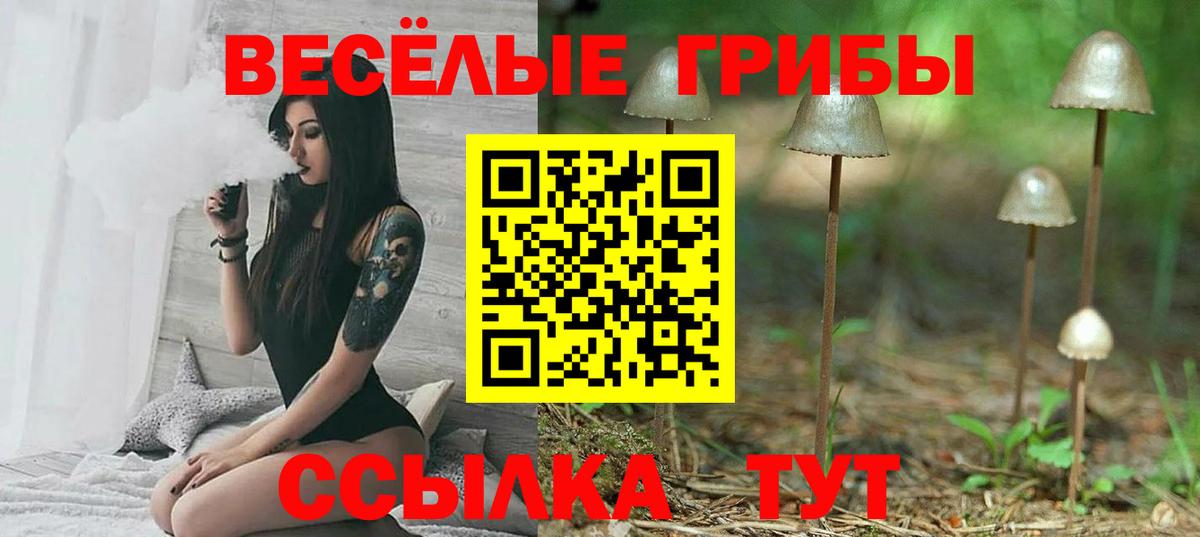 Псилоцибиновые грибы Magic Shrooms Тимашёвск