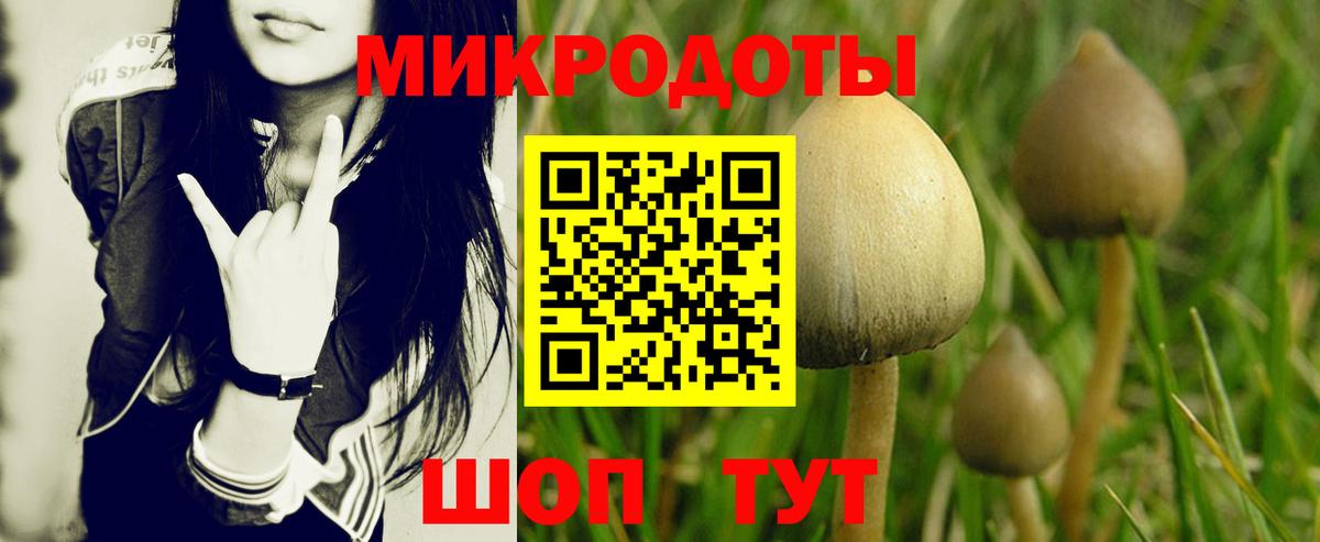Тимашёвск  Псилоцибиновые грибы MAGIC MUSHROOMS  Псилоцибиновые грибы мицелий  Вход с VPN 